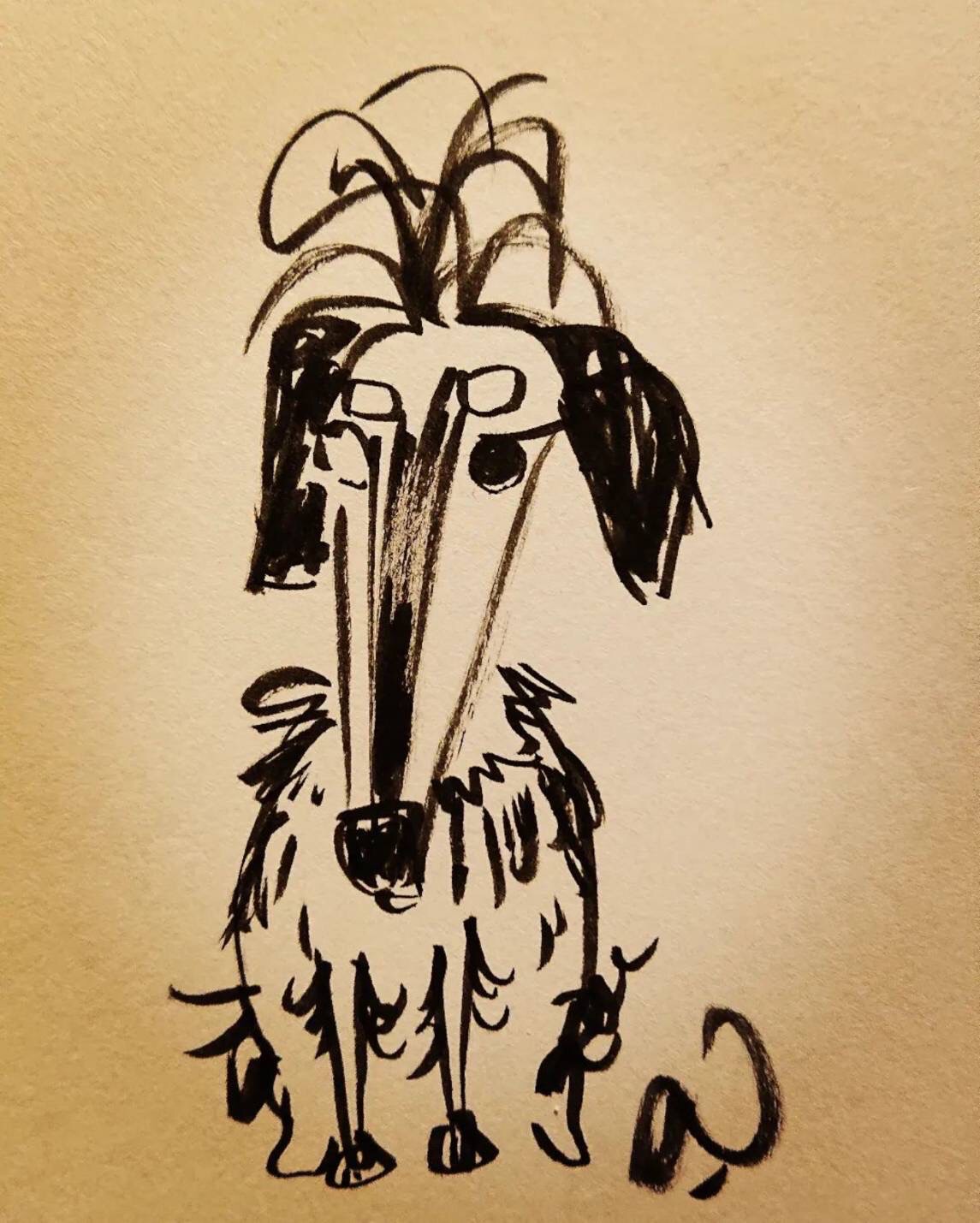 犬のなおみちゃんのイラスト